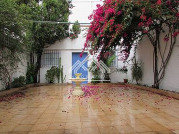 Local comercial en alquiler en Avenida Guadalquivir