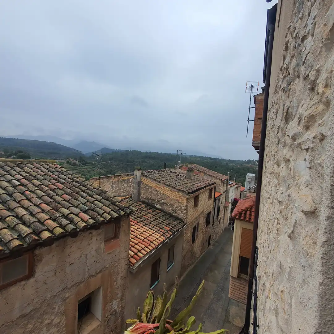 Vista exterior de Casa o xalet en venda en El Pinell de Brai amb Moblat