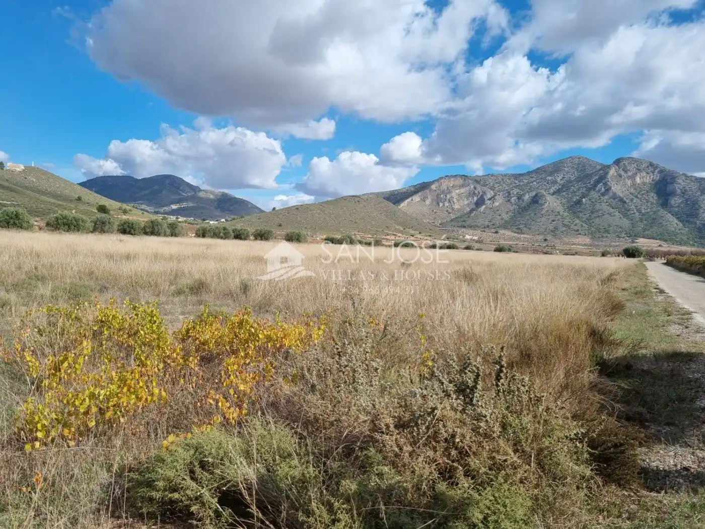 Terrenys i solars en venda a Abanilla