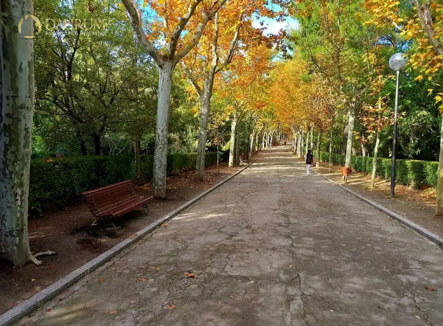 Piso con ascensor en venta en alcalá, imagen 33