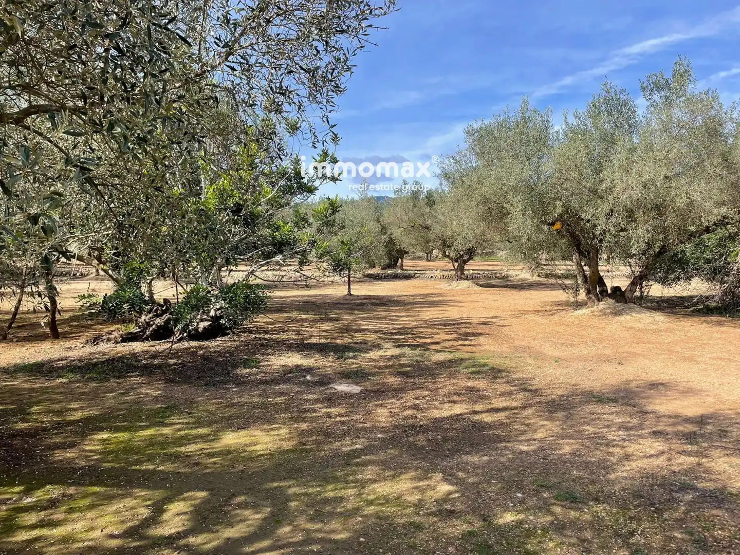 Residential land for sale in 10, imagen 9
