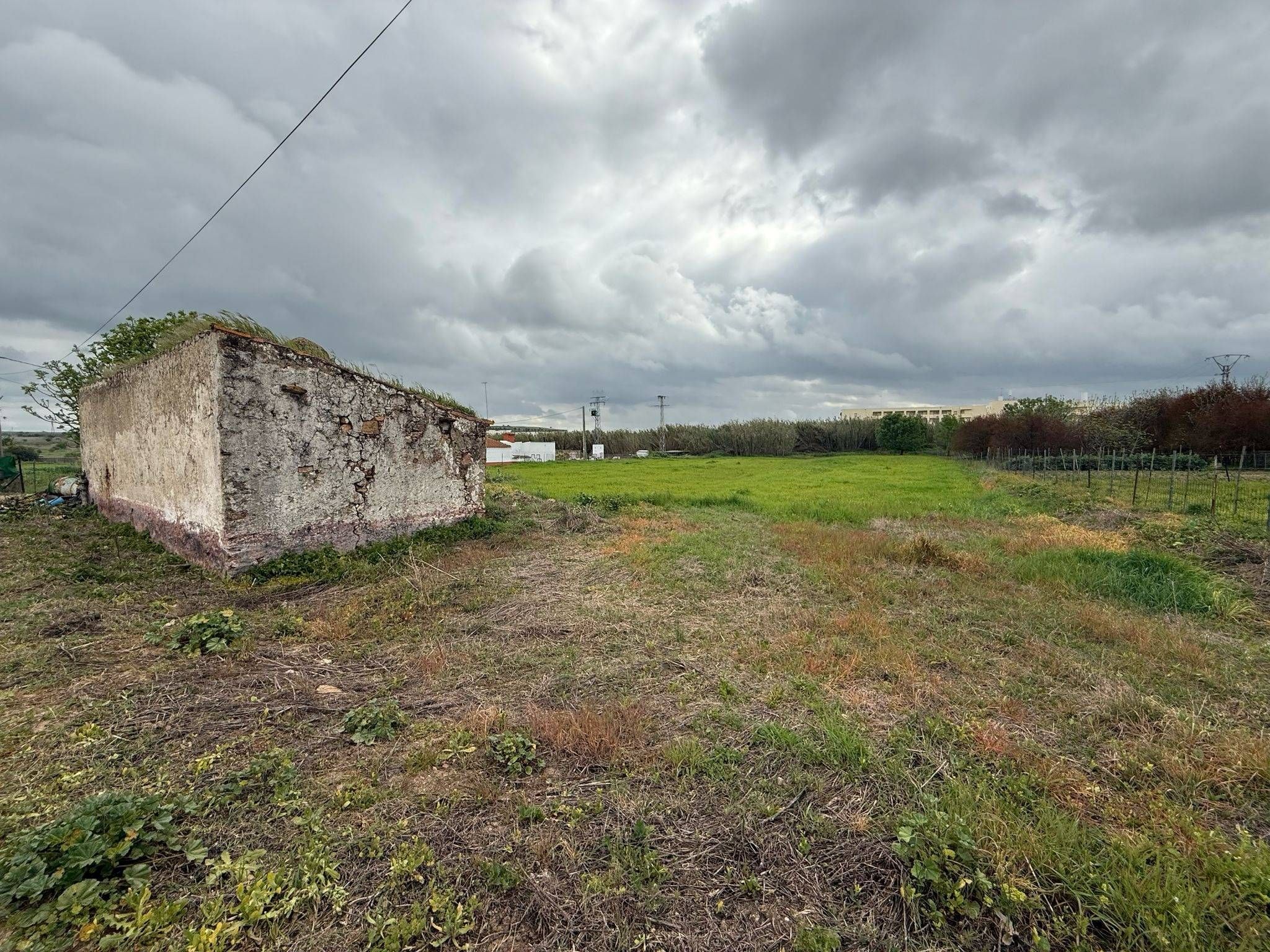 Finca rústica en venda en Olivenza
