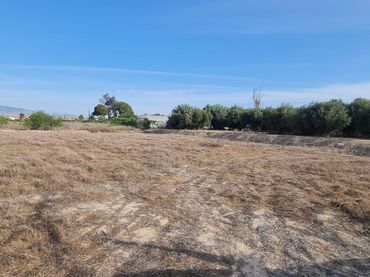 Terreno rustico in vendita a El Llano
