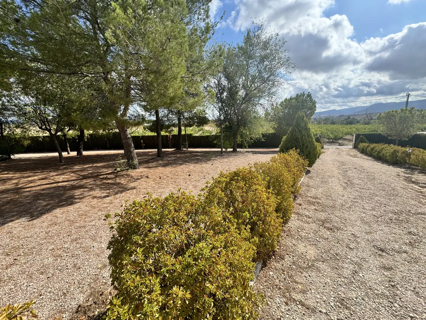 Jardí de Casa o xalet en venda en Caravaca de la Cruz amb Aire condicionat, Jardí privat i Traster