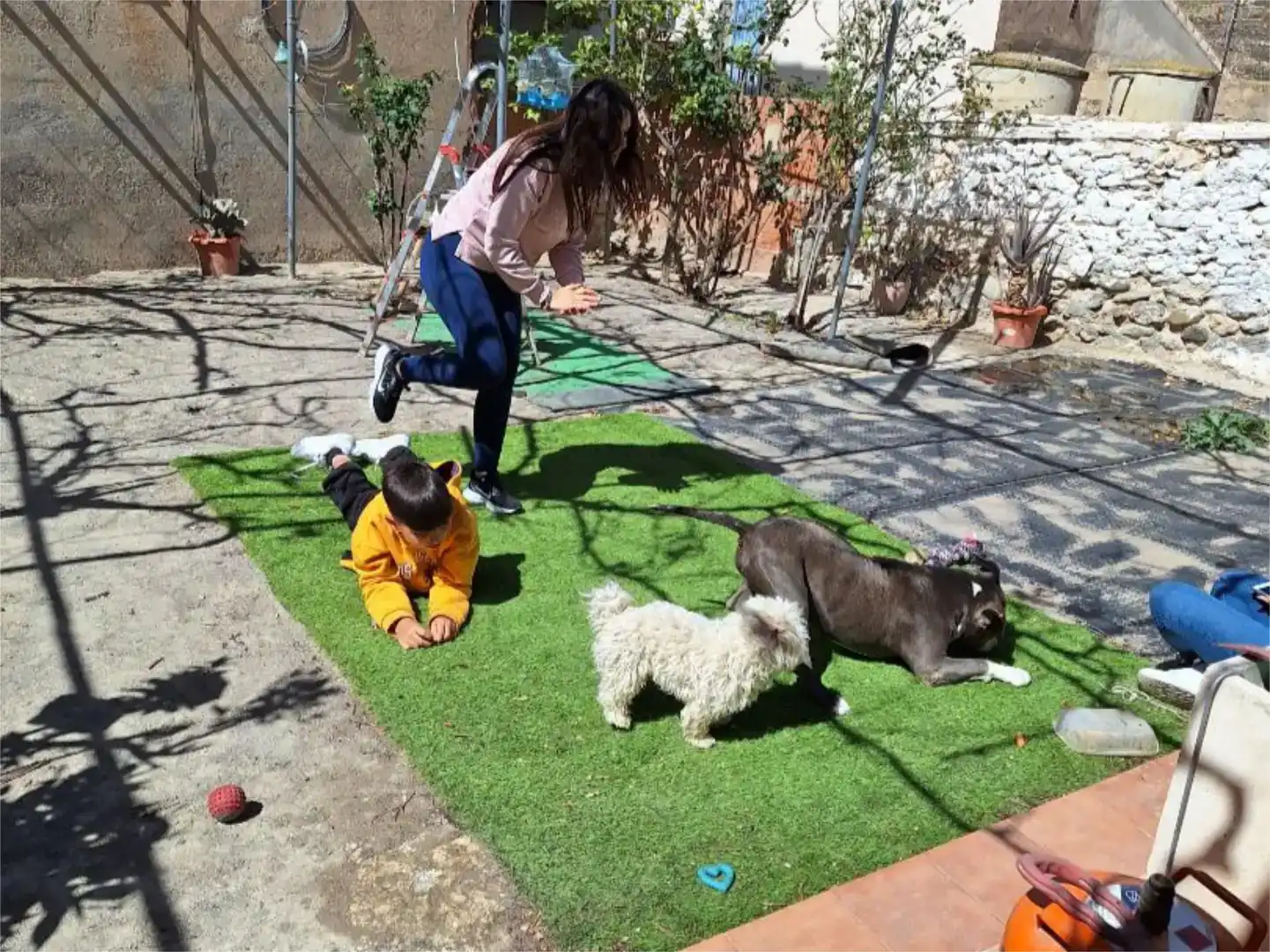 Jardín de Casa o chalet en venta en Purchena