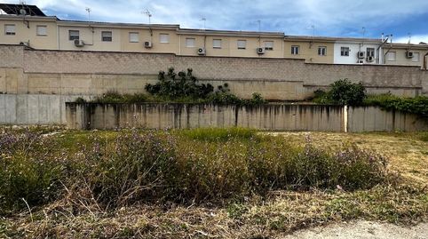 Solar en Mancha Real, immagine 4