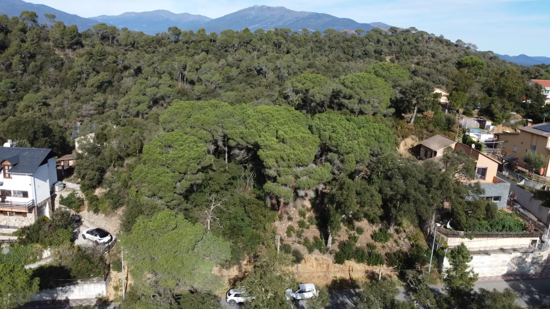 Residential land for sale in Carrer Llenega Negre 3