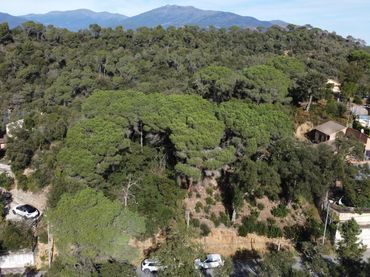Wohnbaugrundstück zum Verkauf in Carrer Llenega Negre 3