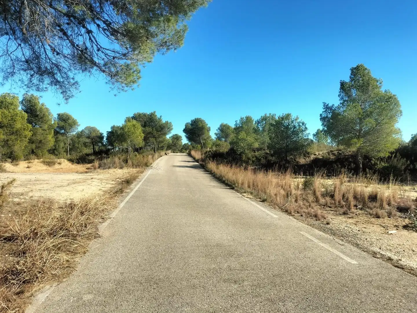 Terreno rustico in vendita a Polígono 6 Parcela 31 CARRASQUETA. NAVARRES (VALE 6, imagen 23