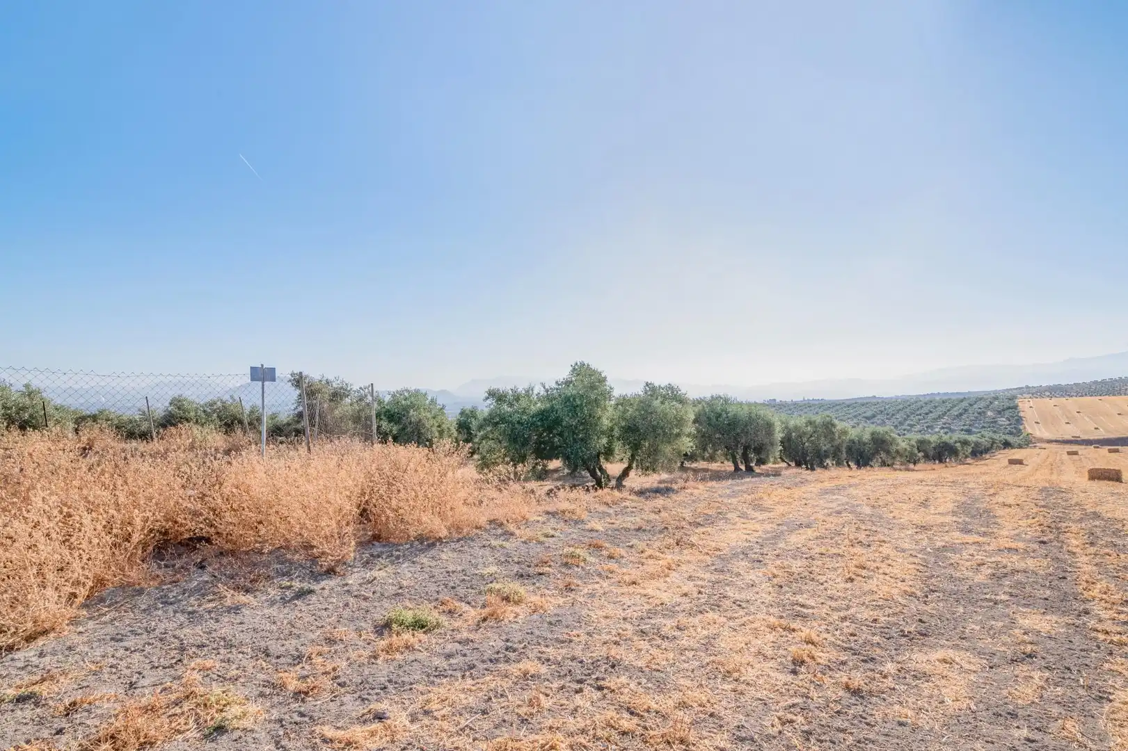 Apartments for sale in Santa Fe