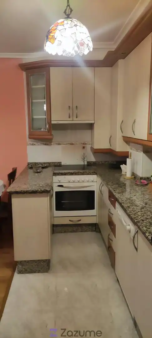 Kitchen of Apartments for rent in León Capital   with Parquet flooring, Storage room and Furnished