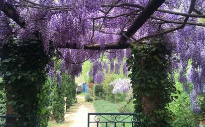 Garden of Flat to rent in Girona Capital  with Air Conditioner, Heating and Terrace