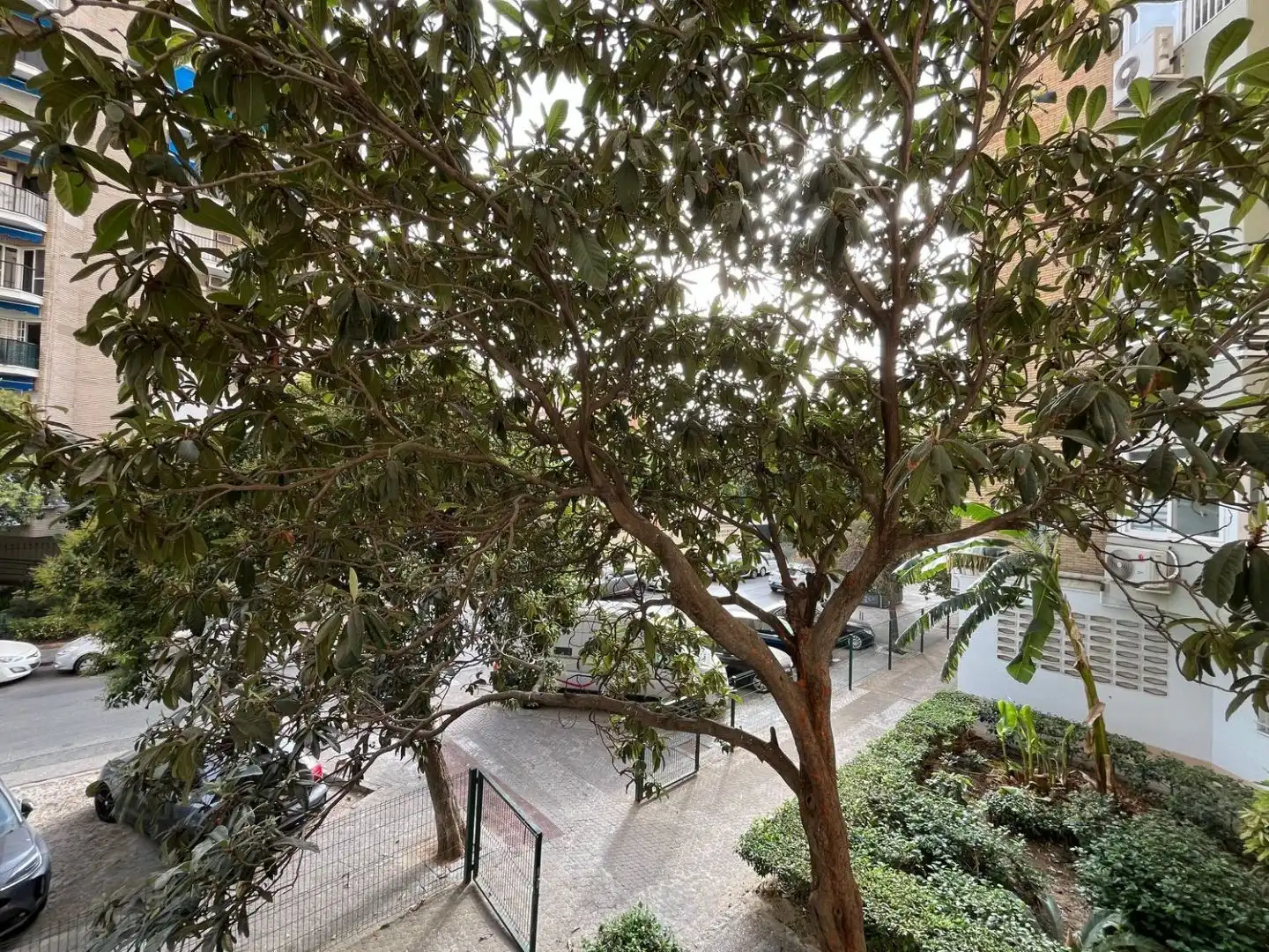 Vista exterior de Piso en venta en  Sevilla Capital con Aire acondicionado, Terraza y Balcón