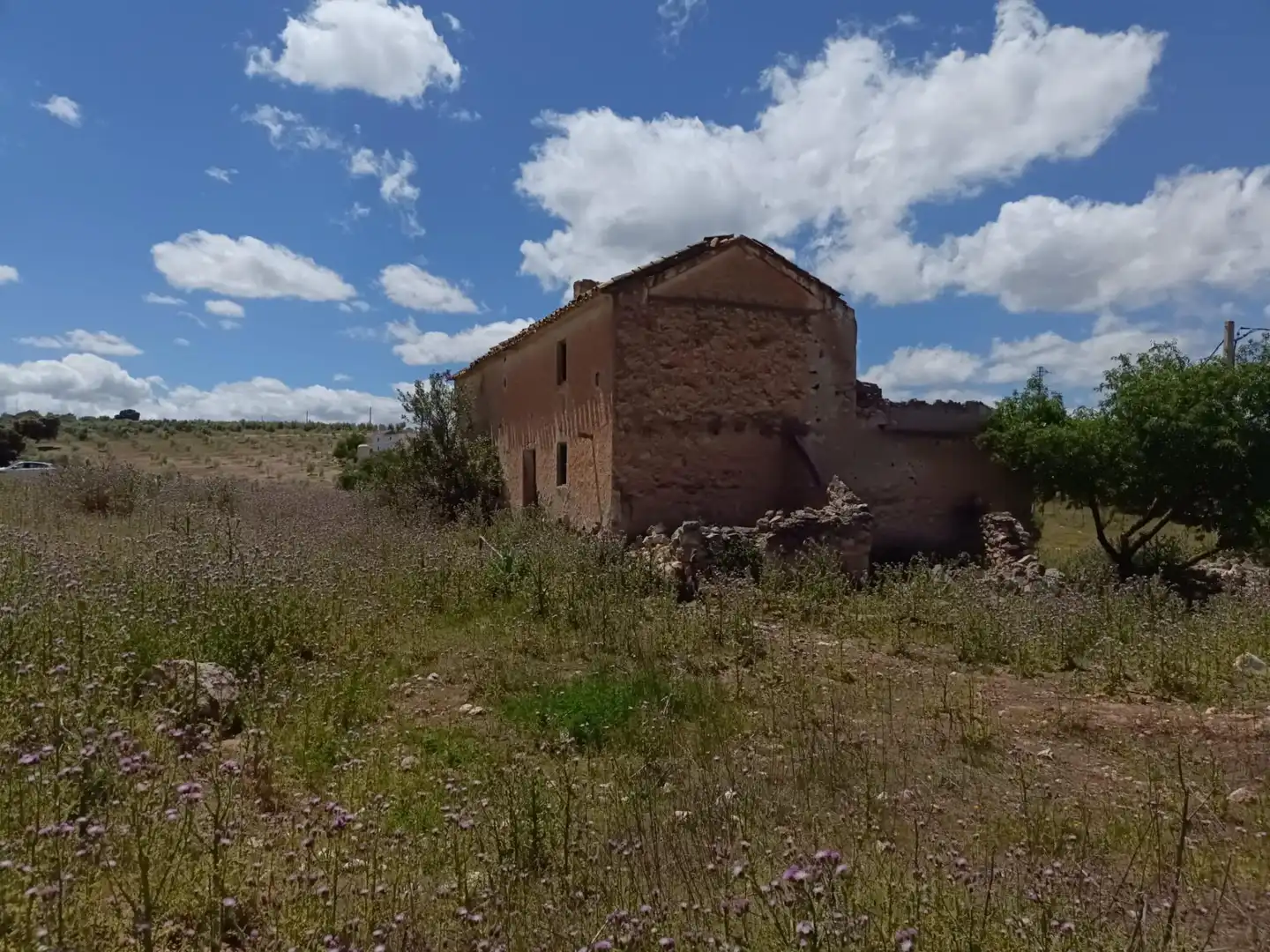 Finca rústica en venta en Salar