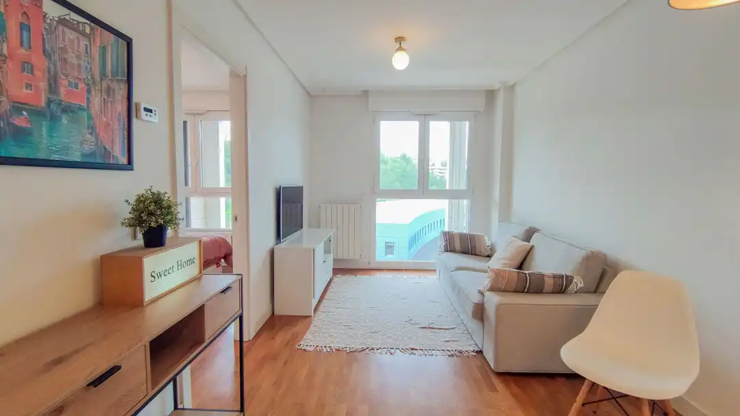 Wohnzimmer von Wohnung zum Verkauf in Donostia - San Sebastián  mit Heizung und Möbliert