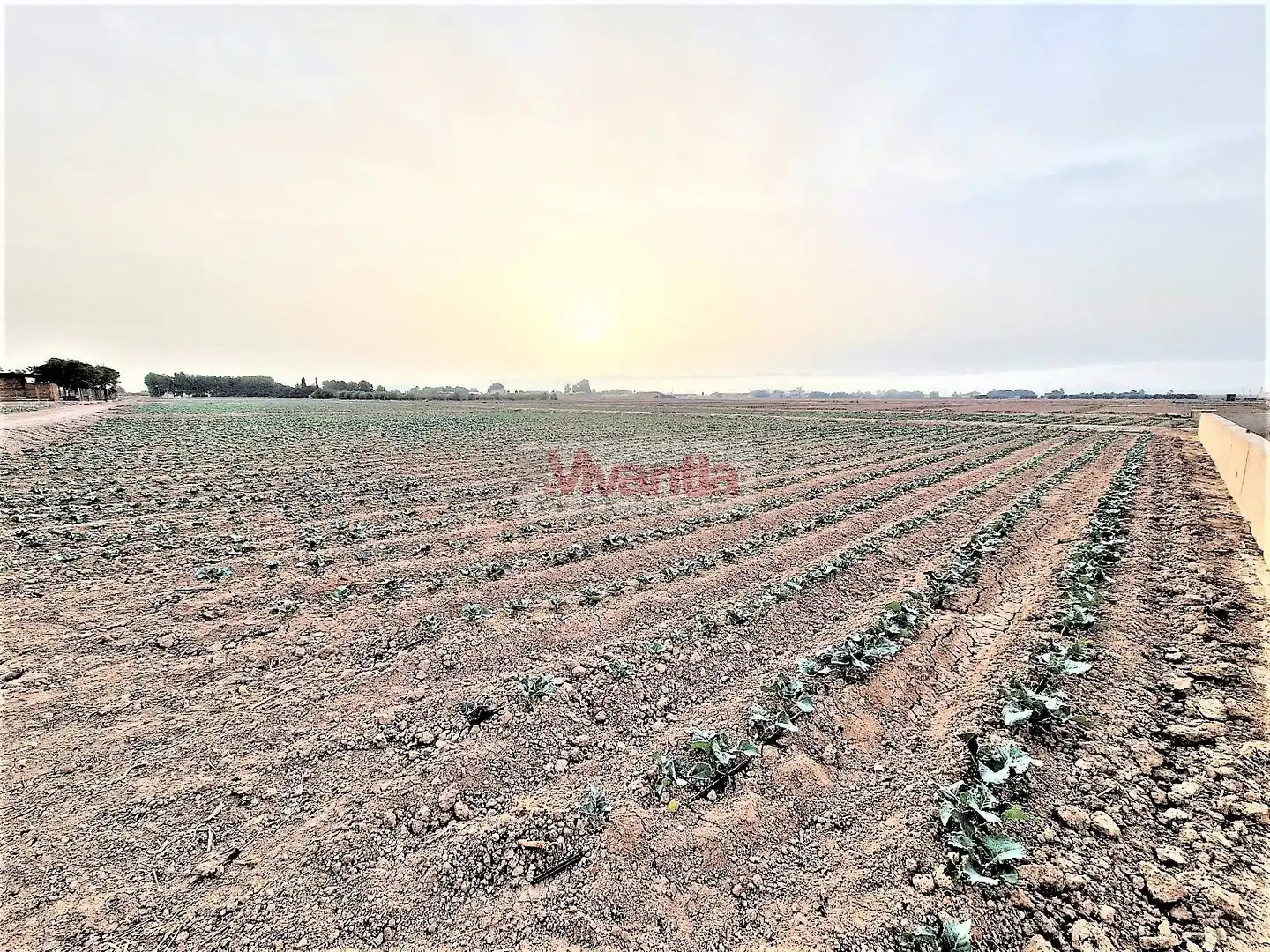 Residential land for sale in Pedanías Centro, imagen 8