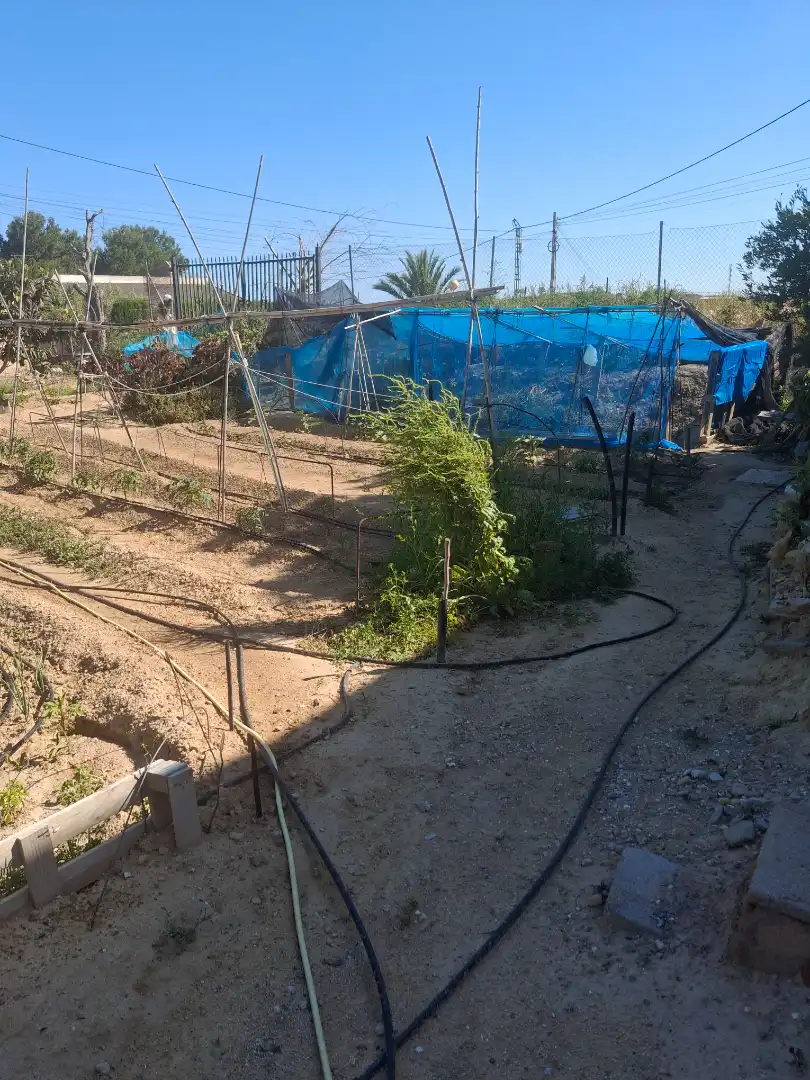 Garten von Haus oder Chalet zum Verkauf in Elche / Elx