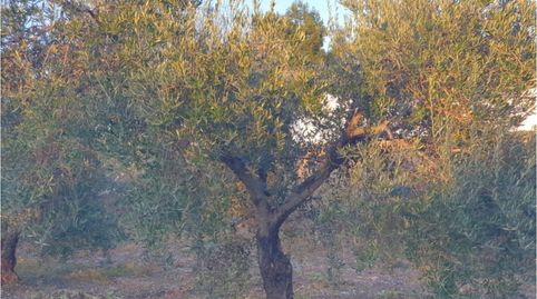 Parcela en venta en Entrín Alto, immagine 5