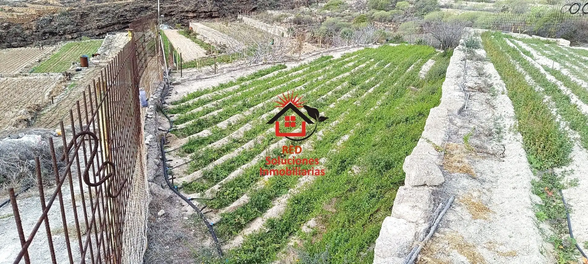 Rural land for sale in LOMO DEL BUENO, imagen 10