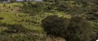 Terreni e lotti in vendita a Los Tablones - La Garnatilla