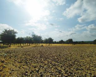 Land for sale in La Nava de Santiago 