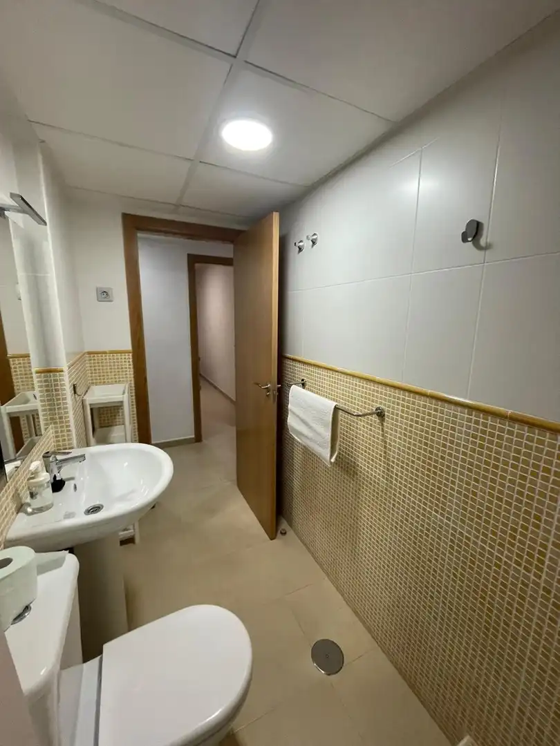 Mini appartamento con terrazza in vendita a Pedanías Este, imagen 16