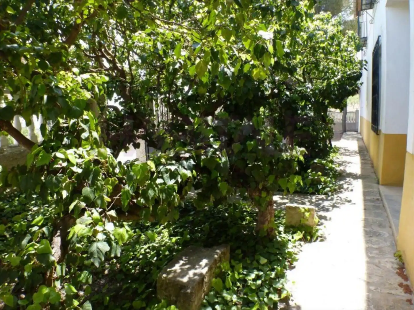 Garden of Residential for sale in Tibi