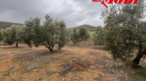 Foto 3 de Residencial en venda a Albuñuelas, Granada