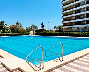 Swimming pool of Apartment to rent in Gandia  with Terrace and Balcony