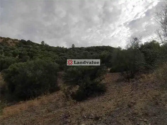 Terreny rústic en venda a Polígono 31 Parcela 59 DORNAJO, imagen 4