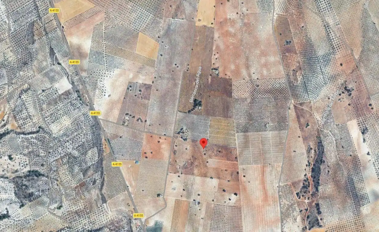 Finca rústica en venta en Salar