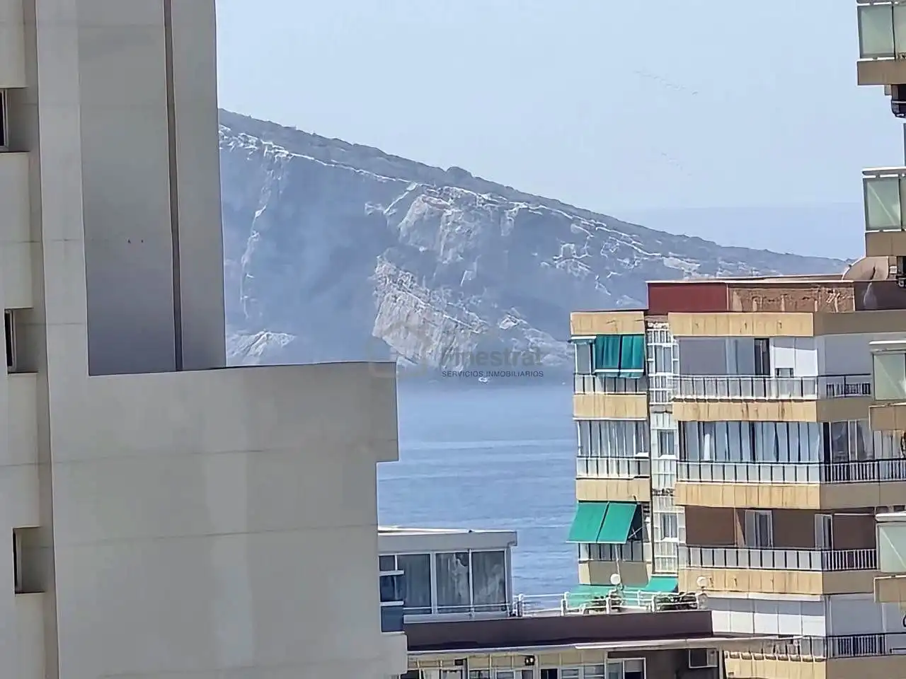 Vista exterior de Pis en venda en Benidorm amb Aire condicionat, Terrassa i Moblat
