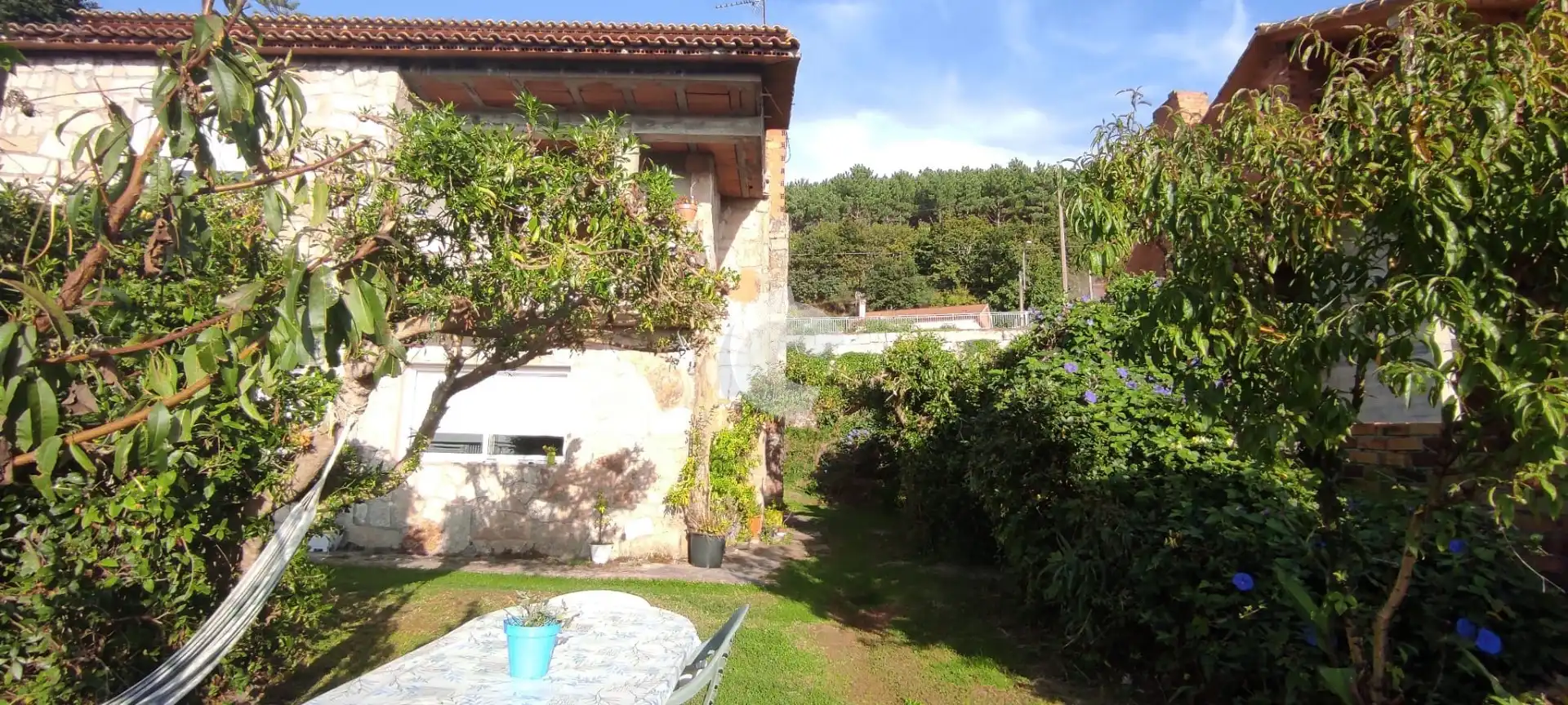 Jardí de Casa o xalet en venda en Vigo  amb Jardí privat