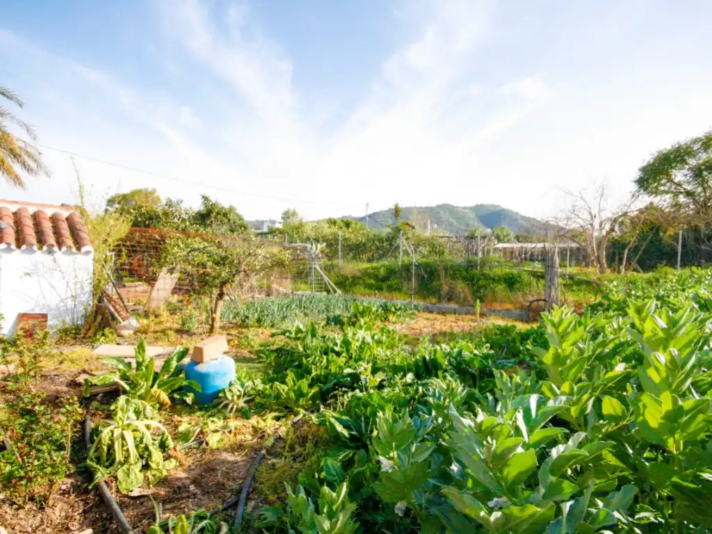Garden of Country homes for sale in Coín
