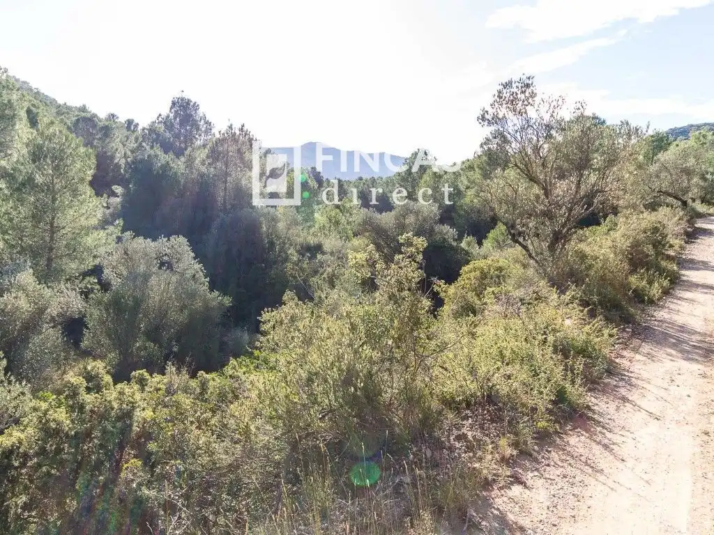 Finca rústica en venda en Benissanet
