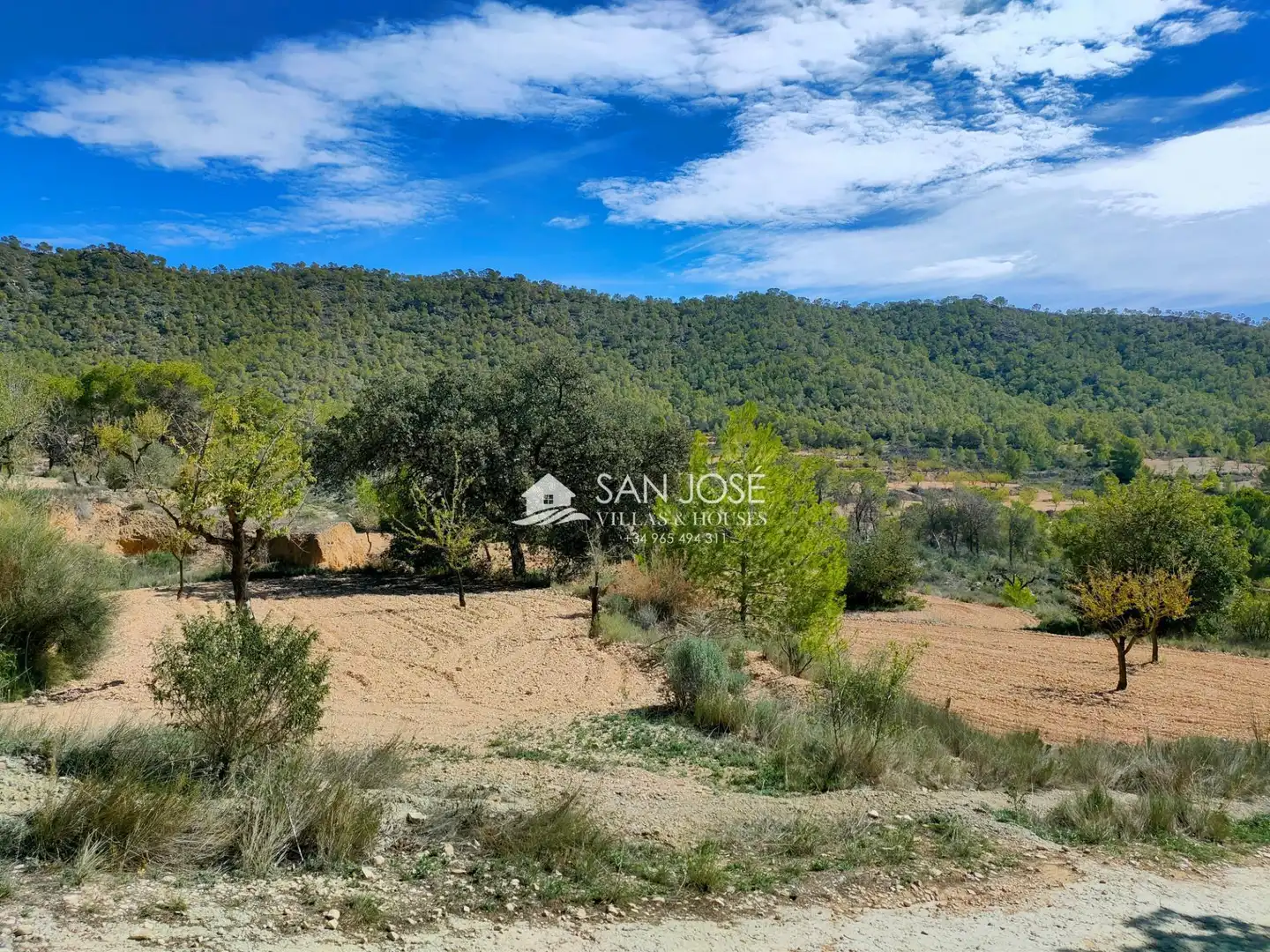 Casa o xalet en venda en La Romana amb Aire condicionat, Calefacció i Jardí privat