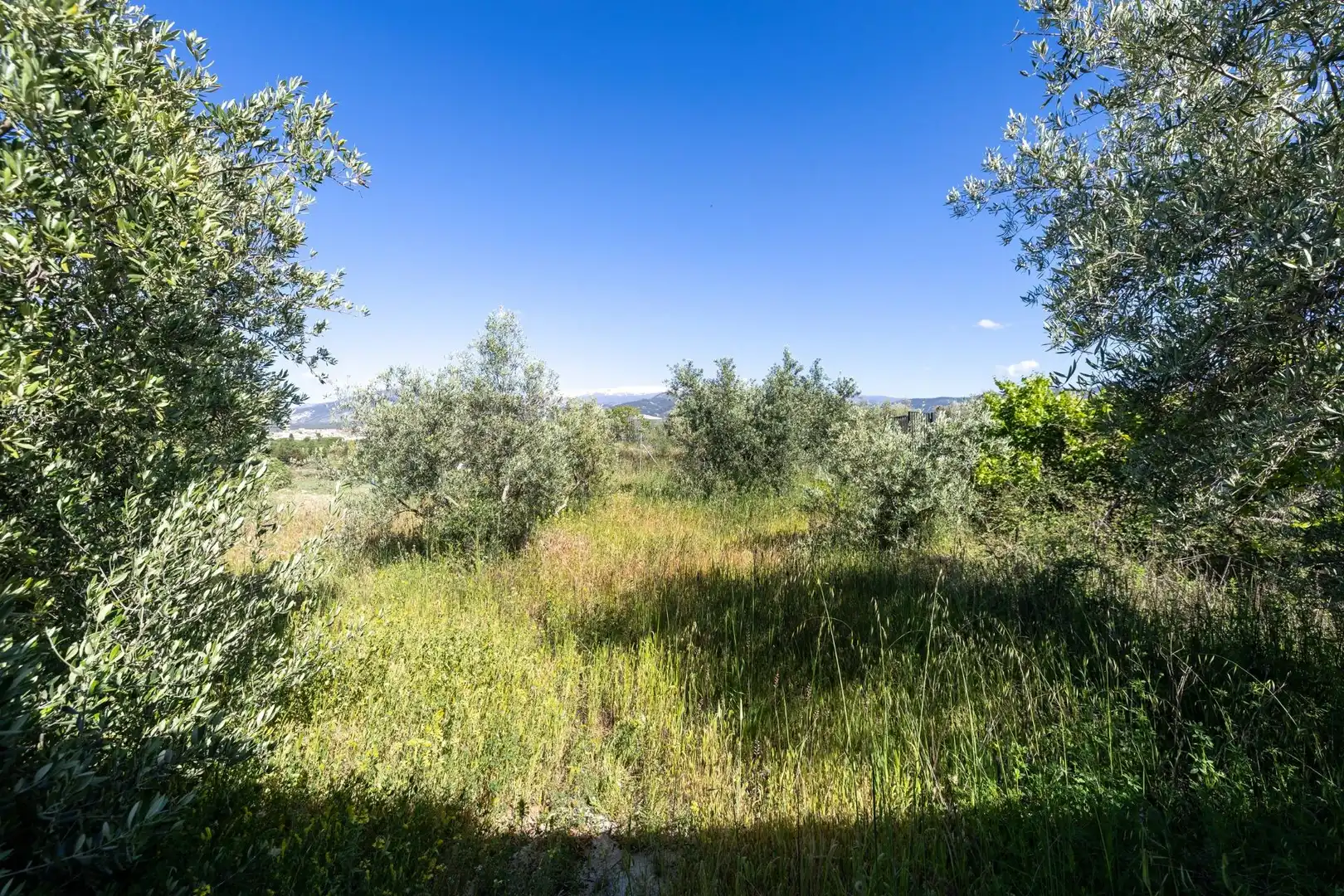 Rural land for sale in Polígono 3 Parcela 220 Arnique, imagen 20