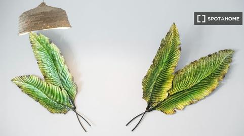 Foto 3 de Apartament per a compartir a La Salud, Santa Cruz de Tenerife