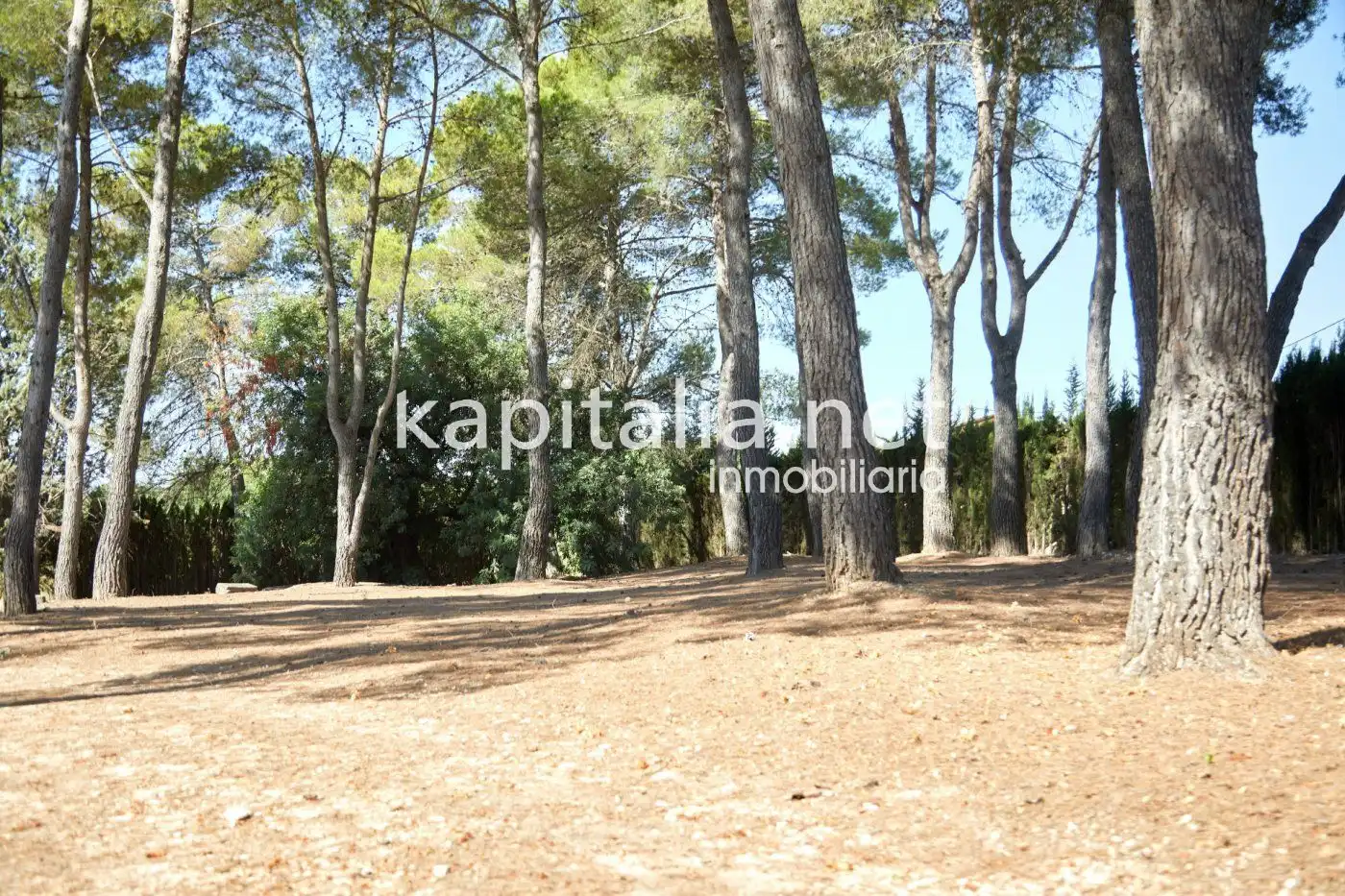 Chalet en venta en El Pilar, imagen 32