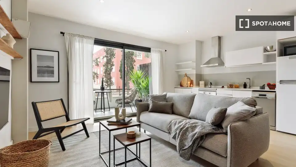 Sala d'estar de Apartament per a compartir en Barcelona amb Aire condicionat, Terrassa i Moblat