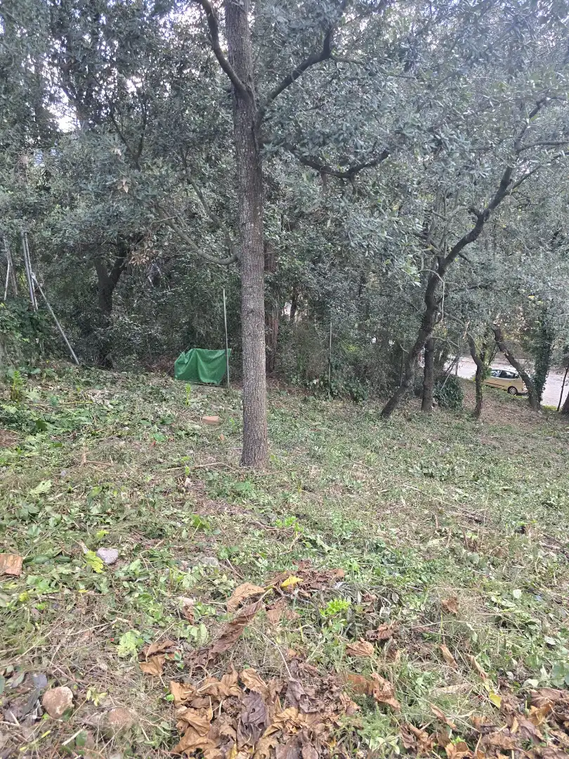 Terreno residencial en venta en Passeig d'Egara 2, imagen 22