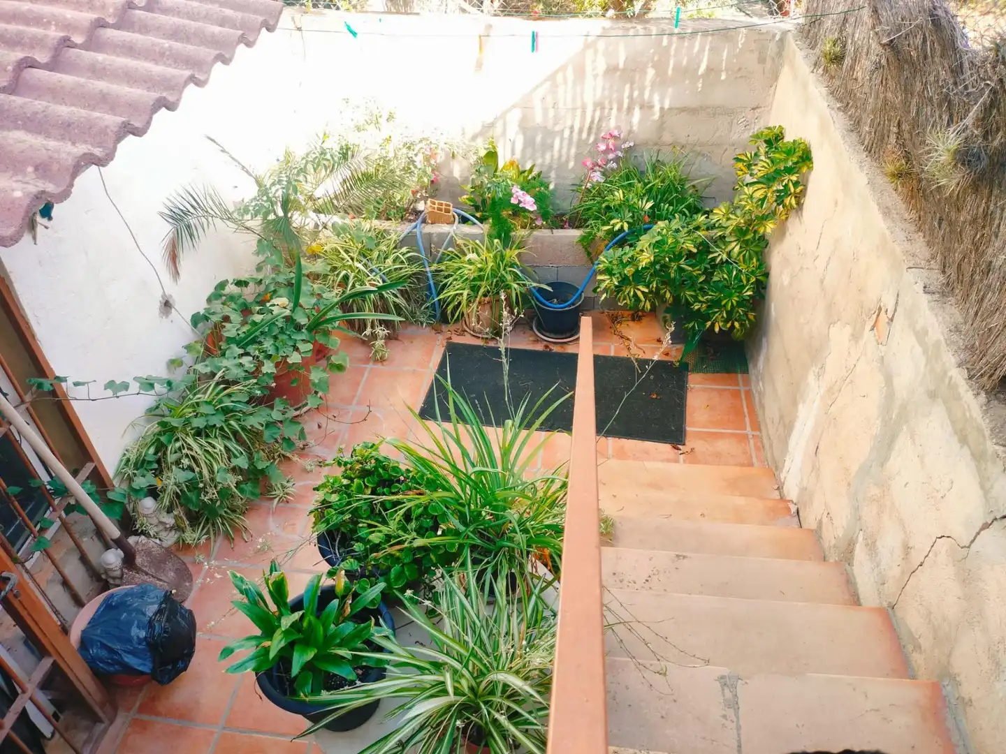 Jardí de Casa o xalet en venda en Llucmajor