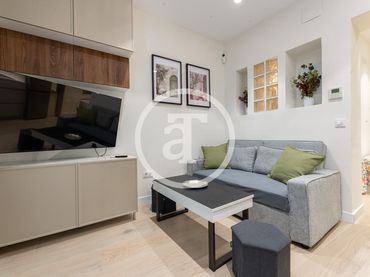 Studio zur Miete in Calle de Altamirano