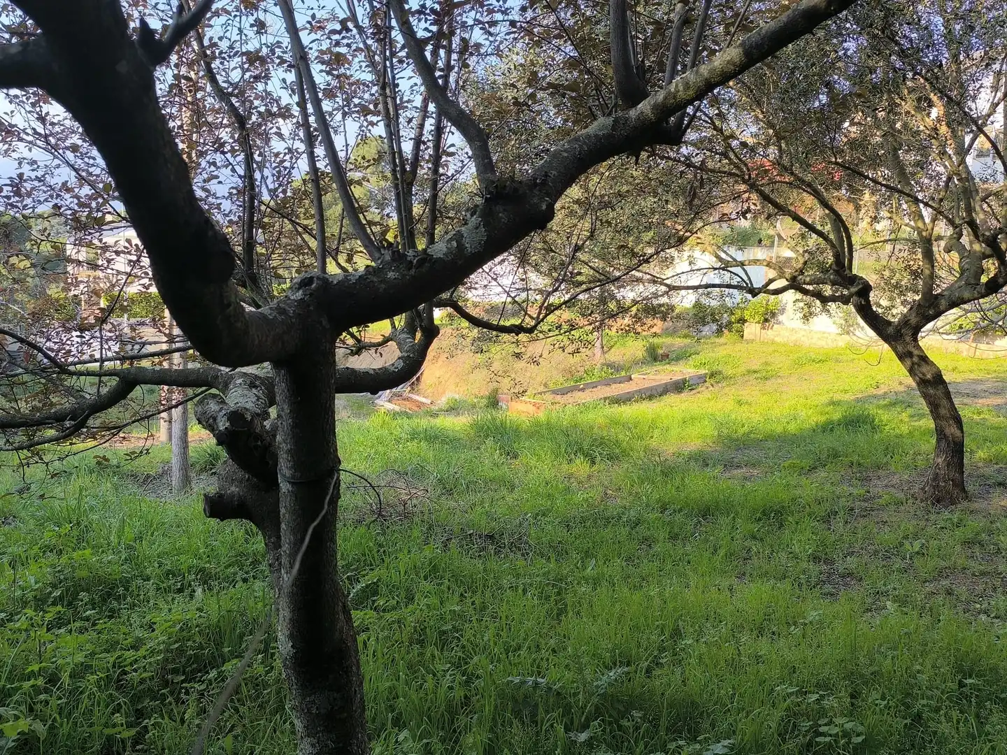 Terrenos y solares en venta en camperol, imagen 9