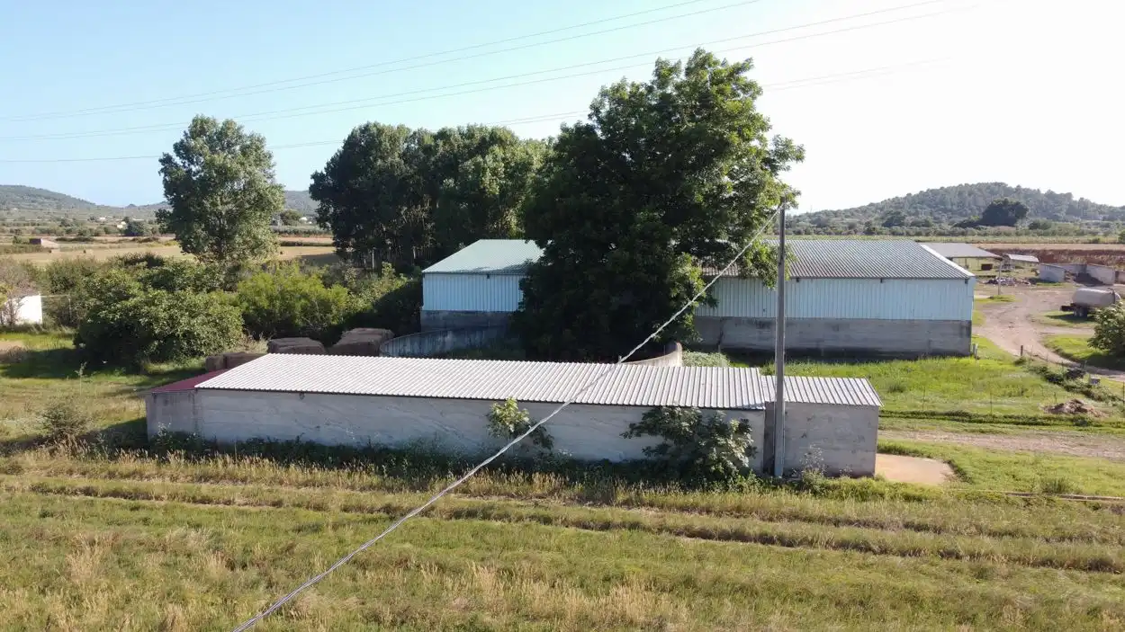 Rural land for sale in Ulldecona, imagen 12