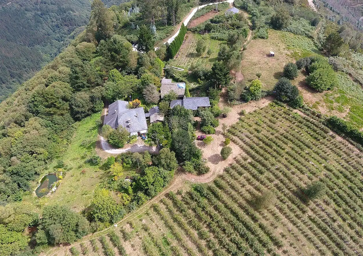 Vista exterior de Casa o chalet en venta en A Pontenova   con Jardín privado