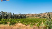Exterior view of Land for sale in Pizarra