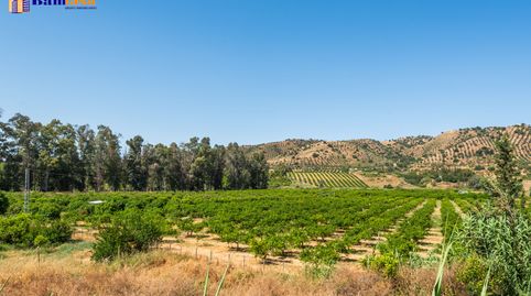 Photo 3 of Land for sale in Pizarra, Málaga