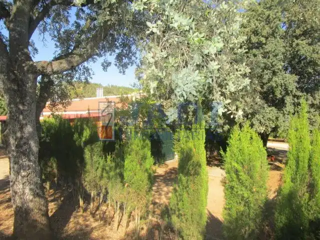 Casa rústica en venda a Almuradiel, imagen 31