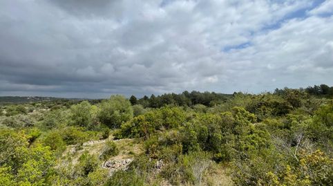 Finca Rúst. en venta en Calig., imatge 4
